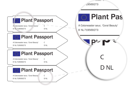 EUROPESE VERORDENING:<br> HET PLANTENPASPOORT